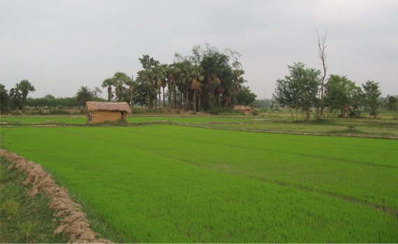 Sky Developers offers NA plots in Purandar international Airport at affordable price 