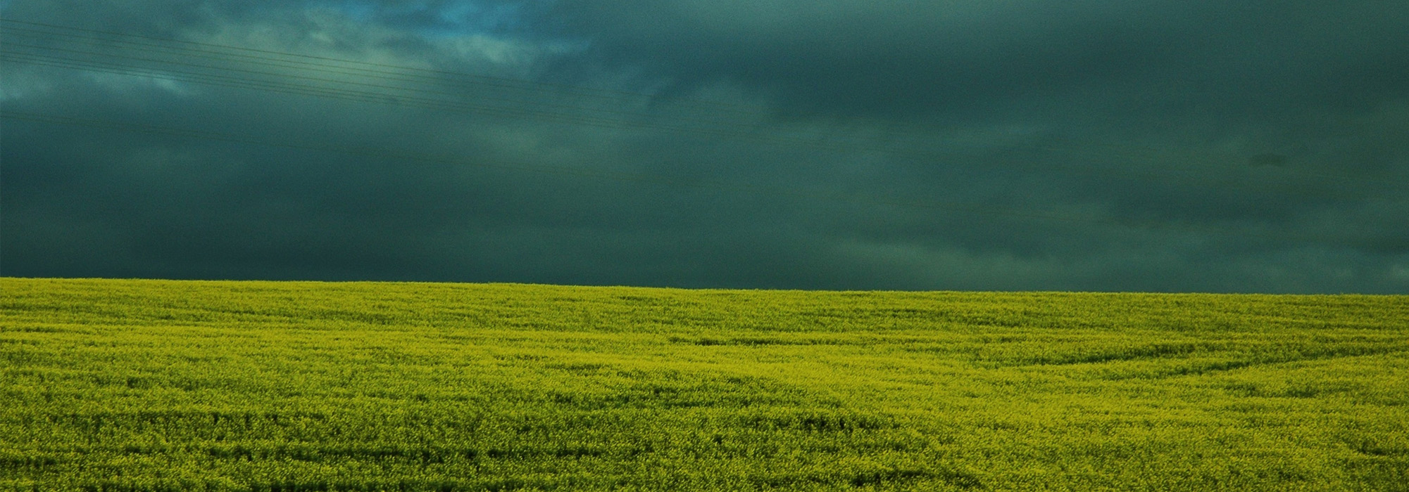 sky developers offers budgeted NA plots in Purandar international Airport