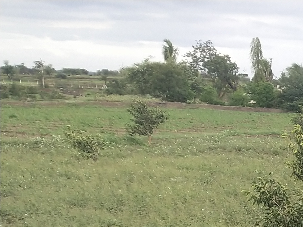 sky developers provides plots for sale In  baramati 