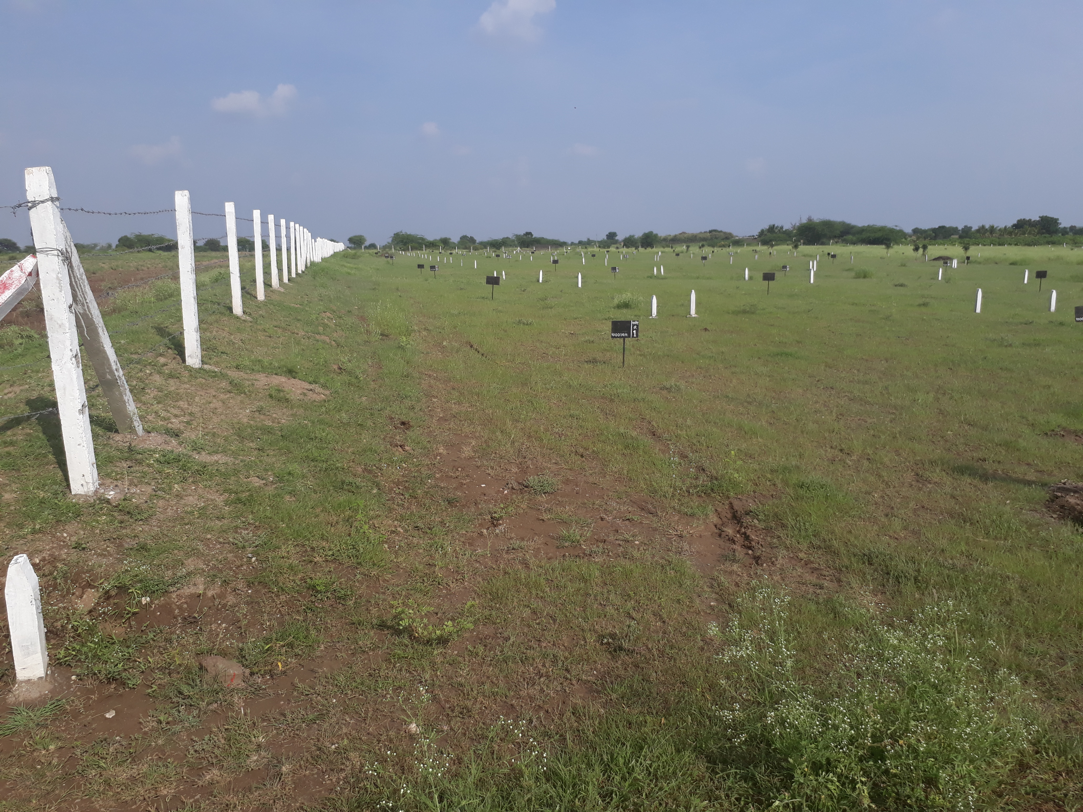 Best NA plots in Purandar international Airport 